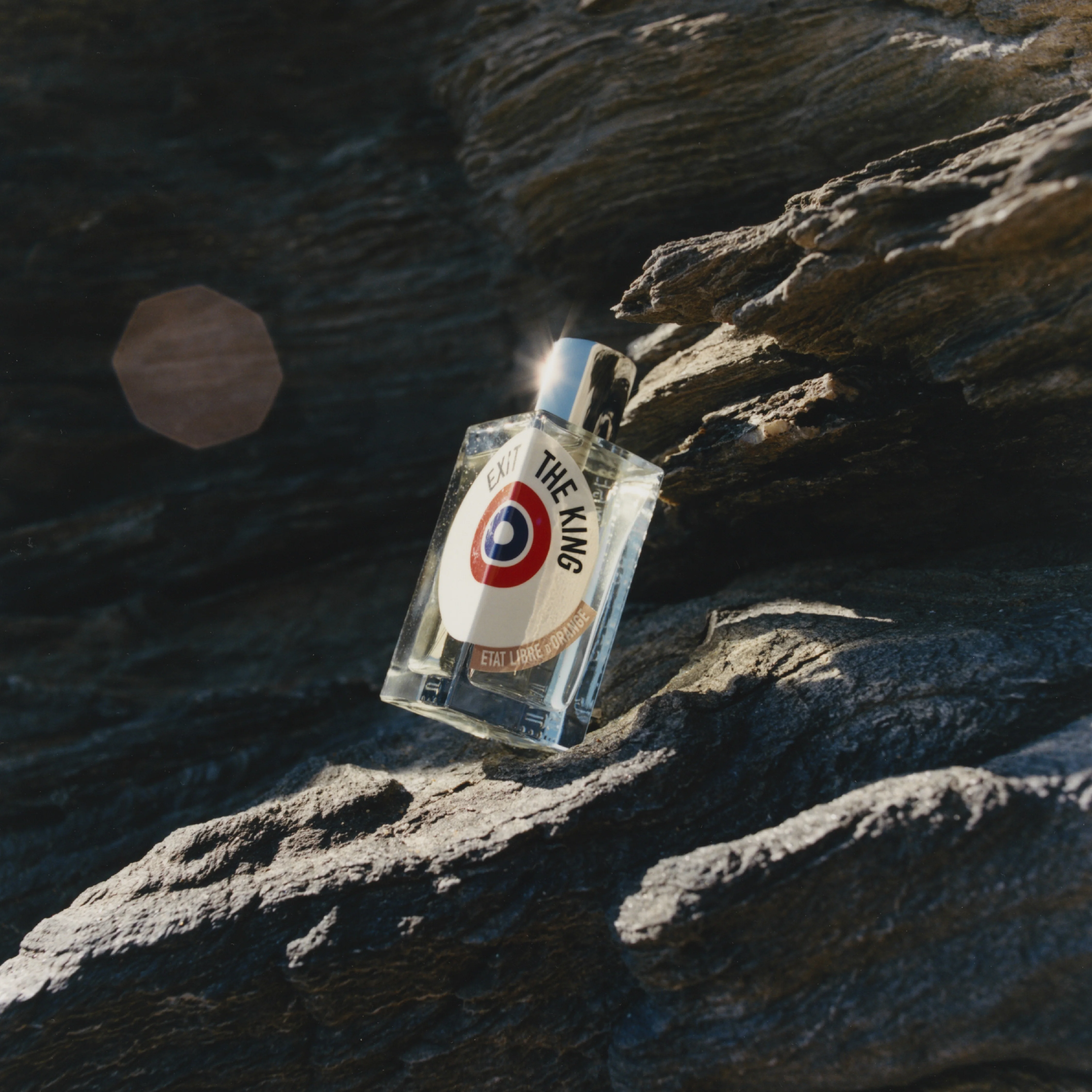 EXIT THE KING - Image 3